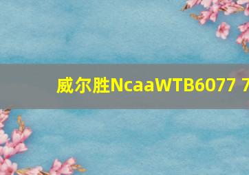 威尔胜NcaaWTB6077 7